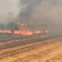 Silivri'de orman yangını: 100 hektar alan zarar gördü, sebebi mangal