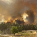 Almanya’da orman yangını: 600 hektarlık küle döndü