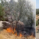 Adıyaman'da ormanlık alanda çıkan yangın söndürüldü