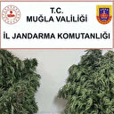 Uyuşturucu madde üreten zahir taciri yakalandı