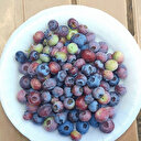 İzmir'de ilk hasat, kilosu 500 TL: 3 yıl önce dikimi gerçekleştirilmişti, 40-50 yıl ömrü var