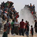 واشنطن تعتزم اعتماد "خطة لتوزيع الغذاء" بعد تقرير ويتكوف بشأن غزة