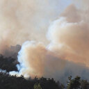 Suriye’de orman yangını