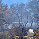 Antalya'daki orman yangını kontrol altında