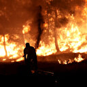 İzmir Ödemiş'te yangın bölgesinden tahliye edilen hayvanlara özel bakım