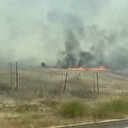 ABD’de büyük yıkım: Orman yangınlarında 52 bin dönümden fazla alan kül oldu