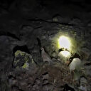 'Keklik timi' gece saatlerinde kene mesaisinde