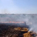 Arnavutköy’de tarlada yangın çıktı