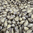 Antep fıstığı ihracatı yılın ilk yarısında yüzde 17 arttı