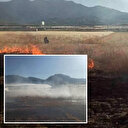 Tarım arazisinde çıkan yangın mahallelinin dayanışmasıyla söndürüldü