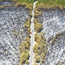 761 yangın kontrol altında