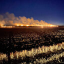Diyarbakır'da anız yakılmasıyla çıkan yangın söndürüldü