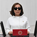 CHP'nin sorusunu yanıtlayan AK Partili Özbudun'a 'linç' kampanyası