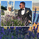 Lavanta bahçeleri fotoğraf platolarını aratmıyor