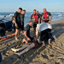 Hayatını kaybeden 16 yaşındaki Efe Ahmet Minguzzi’nin arkadaşı çıktı: Yandım oğlum yandım