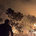 Diyarbakır’da ormanlık alanda çıkan yangın söndürüldü