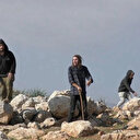 الضفة.. مستوطنون يصيبون 3 فلسطينيين ويحرقون خيام بالضفة 