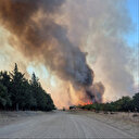 Edirne'de orman yangını: Havadan ve karadan müdahale ediliyor