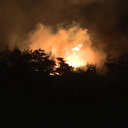 Manisa'da orman yangını: Havadan ve karadan müdahale sürüyor