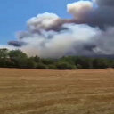 Bolu'da orman yangını