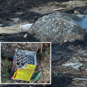 Uyarıları dinlemedi havai fişekle yangına sebep oldu