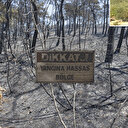 Yangının ortasında yaptığı şey tarlasını kurtarmaya yetti