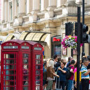 Sivrisineklerden bulaşan chikungunya virüsü İngiltere'de hızla yayılıyor