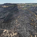 Çanakkale'de yangından geriye bu acı tablo kaldı