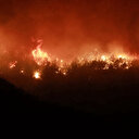 Hatay’da orman yangını devam ediyor: 2 köy tahliye edildi