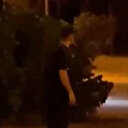 Üniversite yerleşkesine giren domuzları havlayarak kovaladı