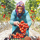 Batman'a organize sera