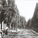 Karacaahmet’in Servileri: Şehrin tarihine bir katkı