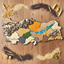 Tohumda öze dönüş