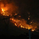 Diyarbakır'ın üç ilçesinde örtü ve orman yangını: Ekiplerden alevlere karşı canhıraş mücadele