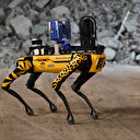 Hong Kong'da chikungunya virüsünü kontrol altına almak için robot köpekler kullanılacak