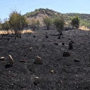 Diyarbakır'daki örtü yangını 17 saatte kontrol altında: 230 hektar alan yandı 