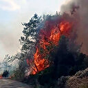 Adana’da orman yangını
