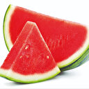 Tarladaki karpuz çöpe değil sofraya