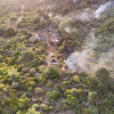 Gelibolu'daki orman yangınına yoğun müdahale sürüyor: Tarih alan girişe kapatıldı