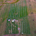 Türkiye'deki nadir yerlerden bir tanesi: Coğrafi işaretli balın hasadı başladı, kilosu bin 500 TL’den satılıyor