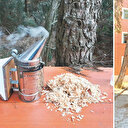 Arıları için ormanı yaktı