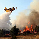 Incendie de forêt dans le nord du Maroc en pleine vague de chaleur