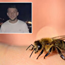 Rize’de arının soktuğu genç hayatını kaybetti