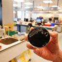 Etats-Unis: la légionellose tue 5 personnes à New York, la clim incriminée