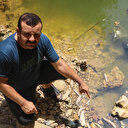 Antalya'da su seviyesi düşen ve kirlenen derede yüzlerce balık öldü: Aralarında endemik türler de var