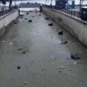 Gemlik körfezi çöplüğe döndü