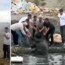 Avcılar'da otluk alanda yangın: İneklerini kurtarmak için bakın ne yaptı