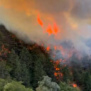 Bolu'da ormanlık alanda çıkan yangına müdahale ediliyor