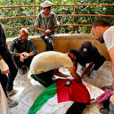 İşgalci İsrail Filistin Milli Basketbol Takımı'nın eski oyuncusunu şehit etti: Gazze'de çocukları için yardım bekliyordu