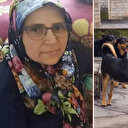 Sokak köpeklerinden kaçmak isteyen kadına araba çarptı: Düğüne giderken hayatını kaybetti